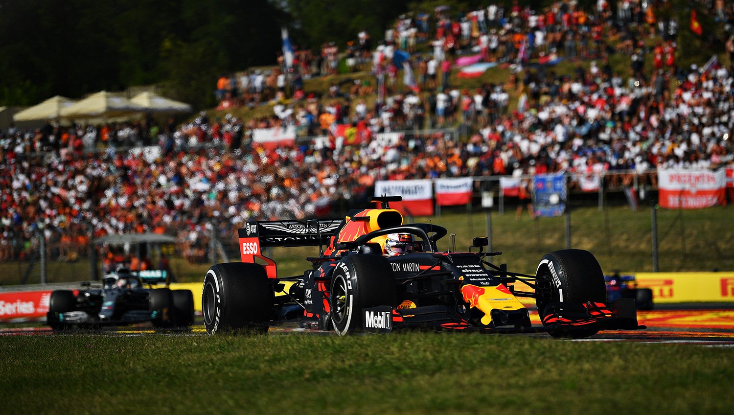 max verstappen red bull honda