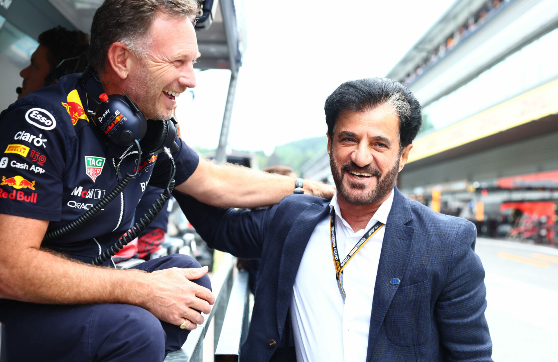 Ben Sulayem FIA Red Bull Christian Horner