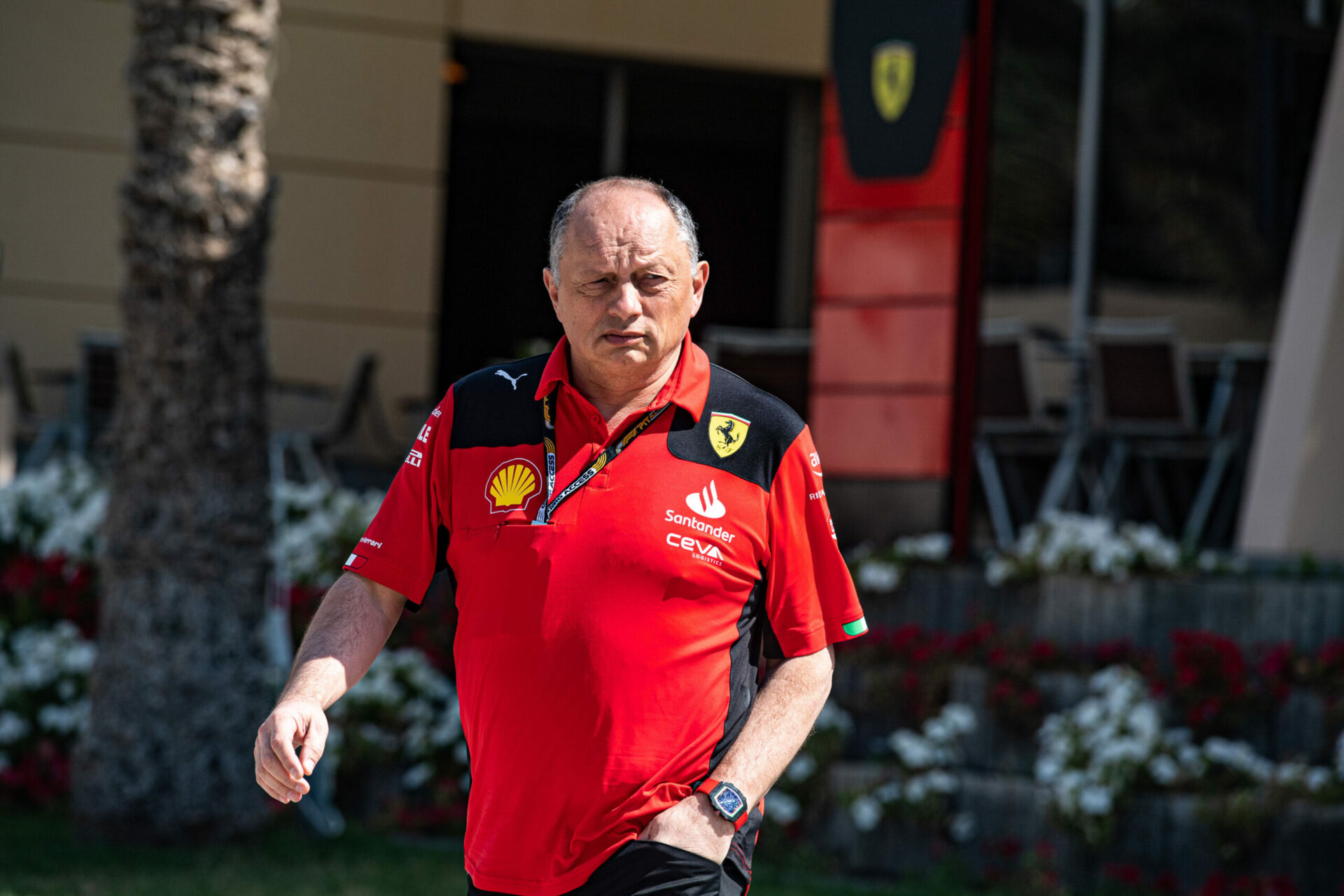 Fred Vasseur Ferrari