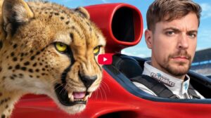 Vidéo – Mr Beast fait se confronter une Formule E à un guépard